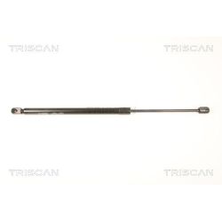 Dujinė spyruoklė, bagažinė TRISCAN 8710 50244
