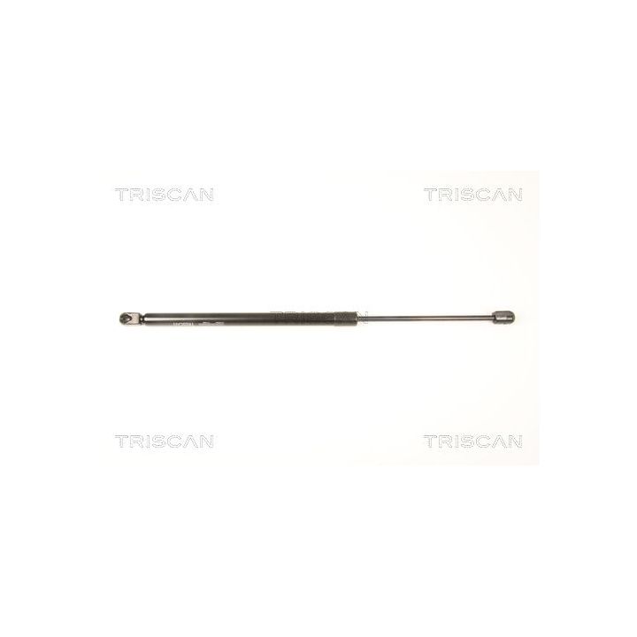 Dujinė spyruoklė, bagažinė TRISCAN 8710 50244