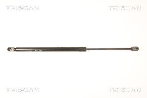 Dujinė spyruoklė, bagažinė TRISCAN 8710 50244