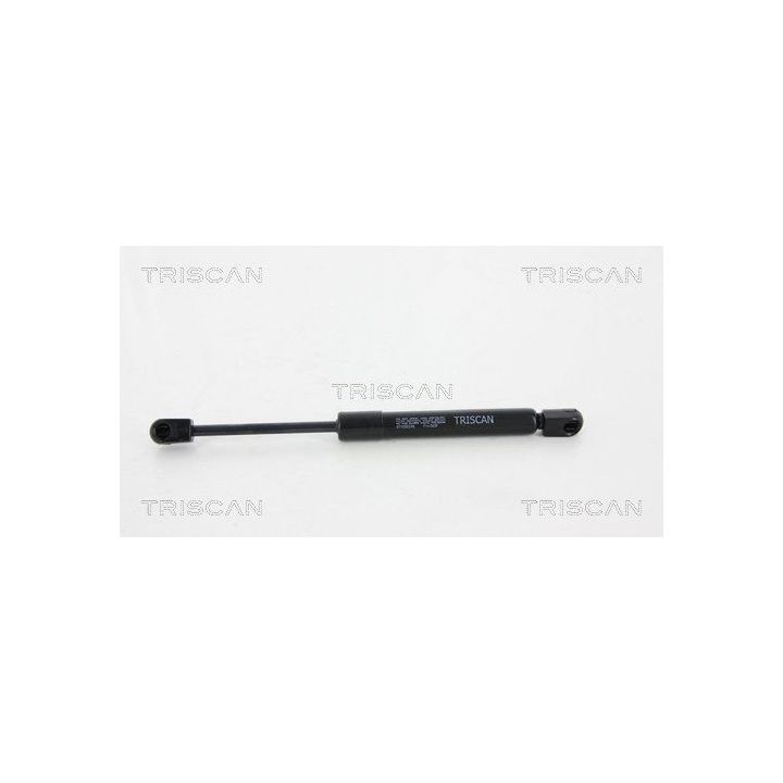 Dujinė spyruoklė, bagažinė TRISCAN 8710 50245