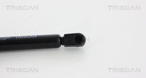 Dujinė spyruoklė, bagažinė TRISCAN 8710 50245