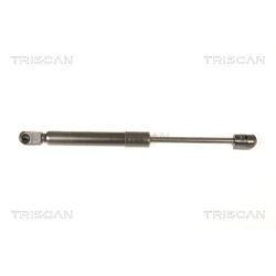 Dujinė spyruoklė, bagažinė TRISCAN 8710 50246