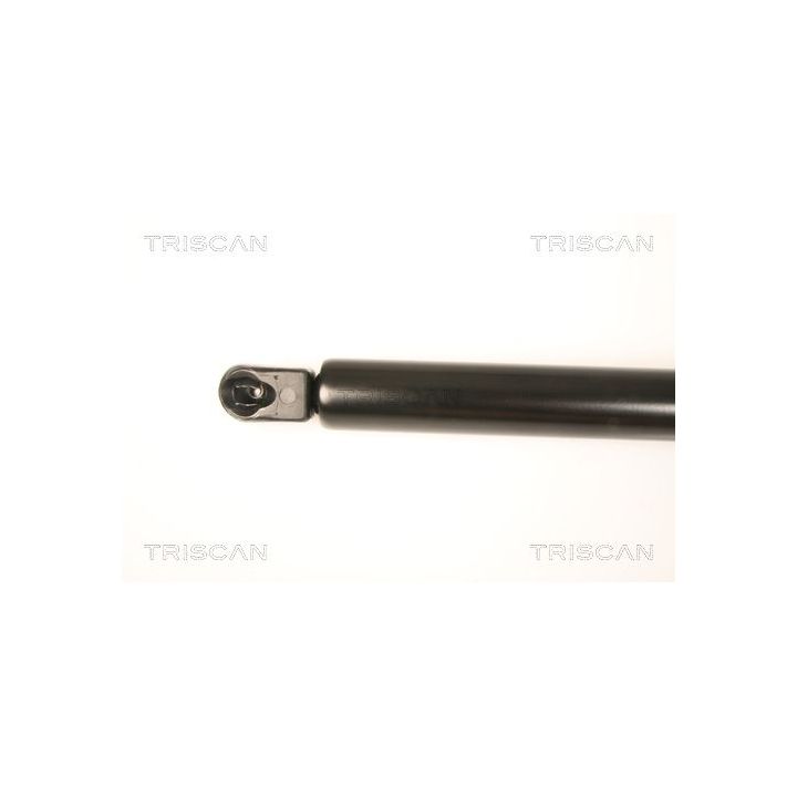 Dujinė spyruoklė, bagažinė TRISCAN 8710 50247