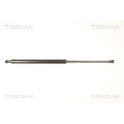 Dujinė spyruoklė, bagažinė TRISCAN 8710 50248