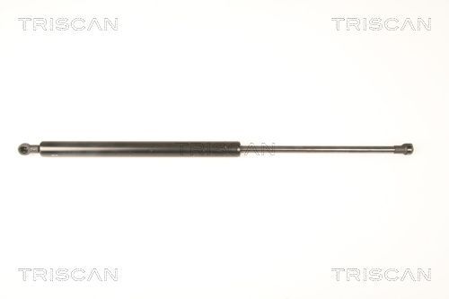 Dujinė spyruoklė, bagažinė TRISCAN 8710 50248