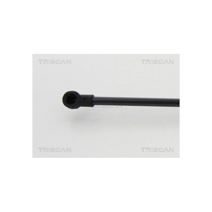 Dujinė spyruoklė, bagažinė TRISCAN 8710 50253