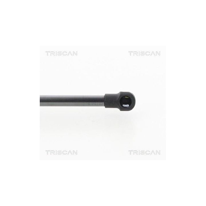 Dujinė spyruoklė, bagažinė TRISCAN 8710 50254