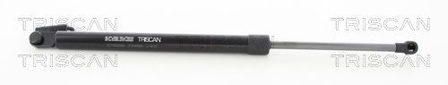 Dujinė spyruoklė, bagažinė TRISCAN 8710 50256