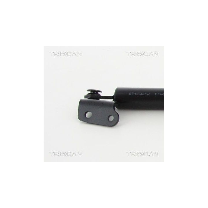 Dujinė spyruoklė, bagažinė TRISCAN 8710 50257