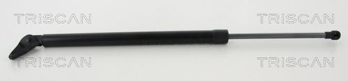 Dujinė spyruoklė, bagažinė TRISCAN 8710 50263