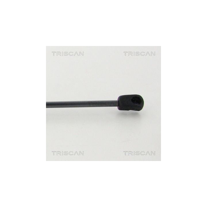 Dujinė spyruoklė, bagažinė TRISCAN 8710 50264