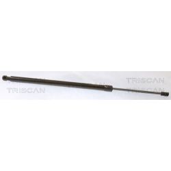 Dujinė spyruoklė, bagažinė TRISCAN 8710 50266