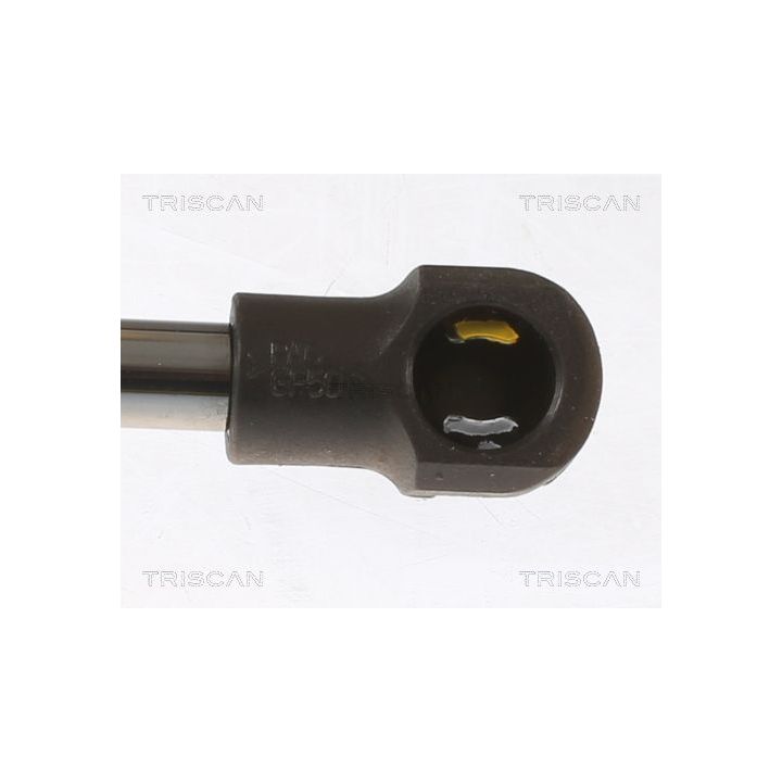 Dujinė spyruoklė, bagažinė TRISCAN 8710 50266