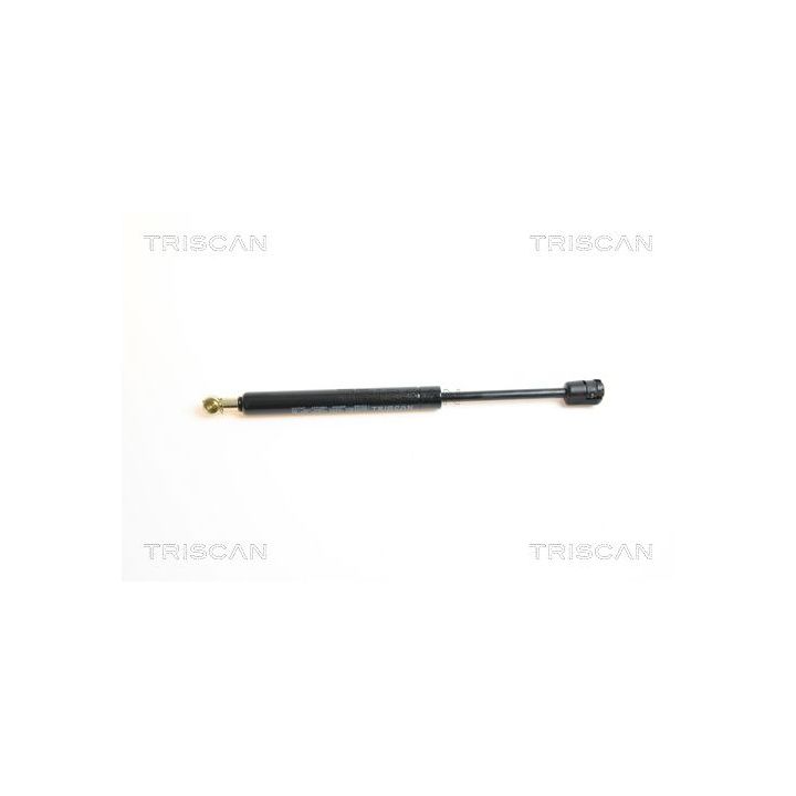 Dujinė spyruoklė, bagažinė TRISCAN 8710 65207