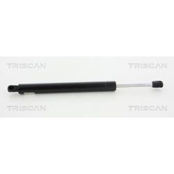 Dujinė spyruoklė, bagažinė TRISCAN 8710 65210