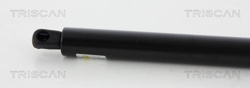 Dujinė spyruoklė, bagažinė TRISCAN 8710 65210