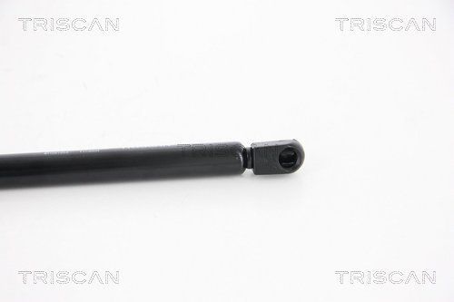 Dujinė spyruoklė, bagažinė TRISCAN 8710 67203