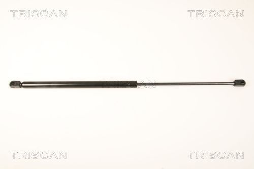 Dujinė spyruoklė, bagažinė TRISCAN 8710 67213