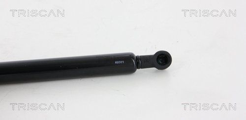 Dujinė spyruoklė, bagažinė TRISCAN 8710 67214