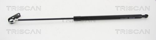 Dujinė spyruoklė, bagažinė TRISCAN 8710 69202