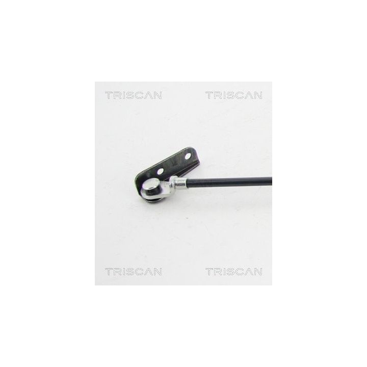 Dujinė spyruoklė, bagažinė TRISCAN 8710 69202