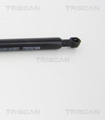 Dujinė spyruoklė, bagažinė TRISCAN 8710 69202