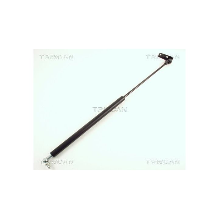 Dujinė spyruoklė, bagažinė TRISCAN 8710 69203