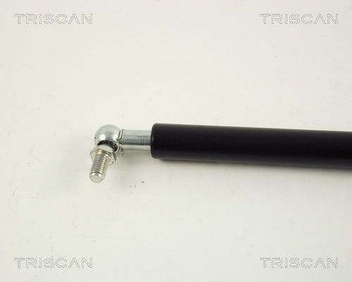 Dujinė spyruoklė, bagažinė TRISCAN 8710 69203
