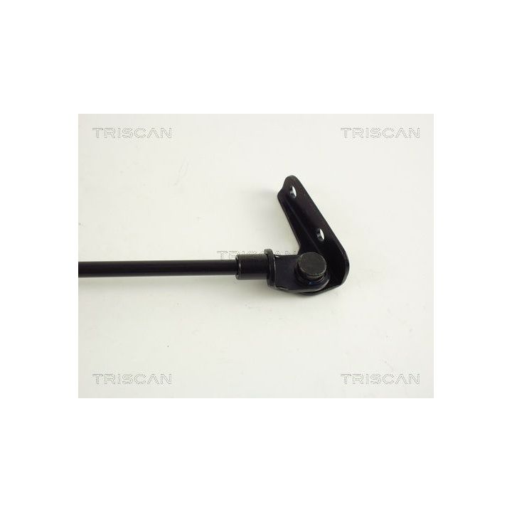 Dujinė spyruoklė, bagažinė TRISCAN 8710 69203