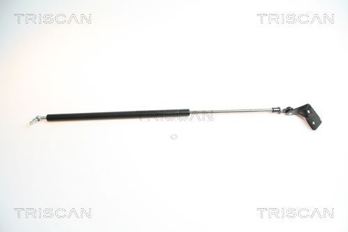 Dujinė spyruoklė, bagažinė TRISCAN 8710 69206