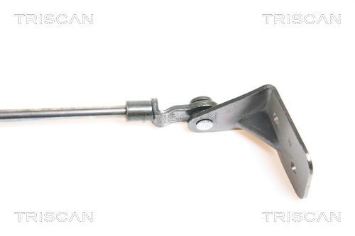 Dujinė spyruoklė, bagažinė TRISCAN 8710 69206