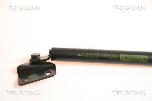 Dujinė spyruoklė, bagažinė TRISCAN 8710 69211