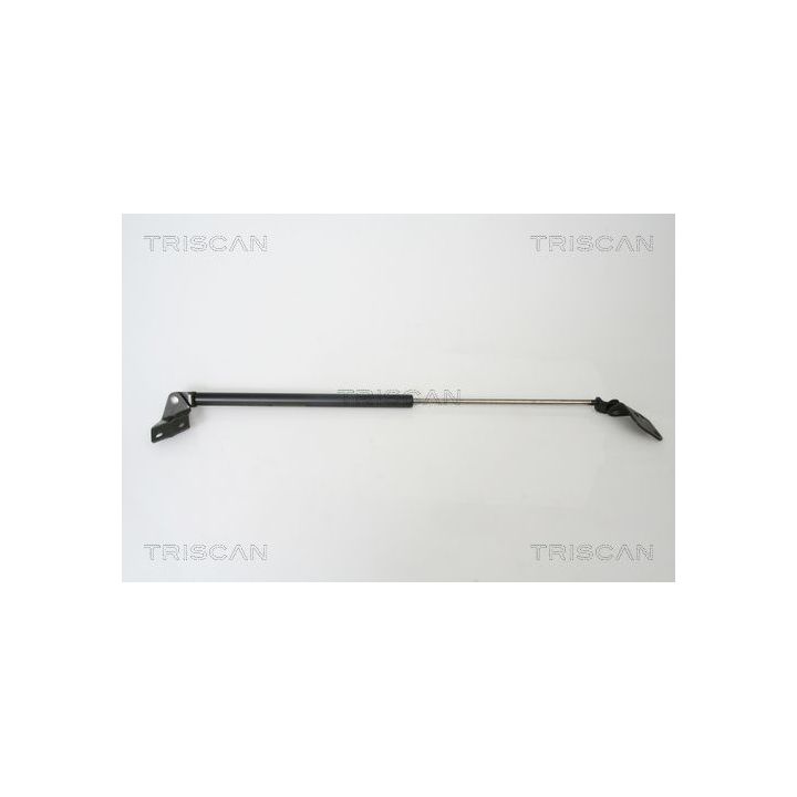 Dujinė spyruoklė, bagažinė TRISCAN 8710 69213