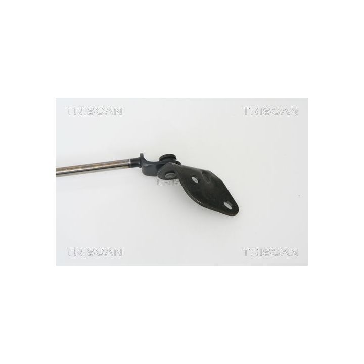 Dujinė spyruoklė, bagažinė TRISCAN 8710 69213