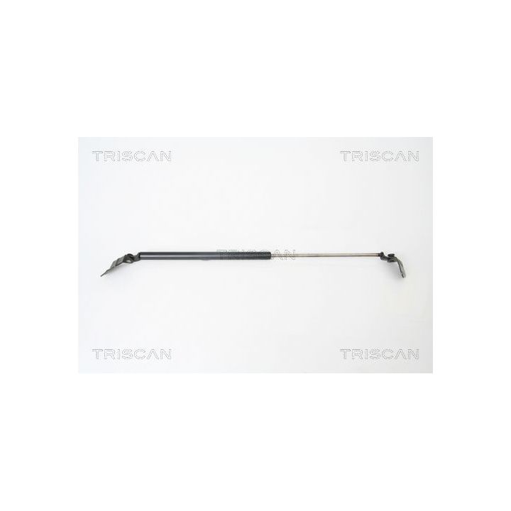 Dujinė spyruoklė, bagažinė TRISCAN 8710 69214