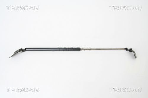 Dujinė spyruoklė, bagažinė TRISCAN 8710 69214