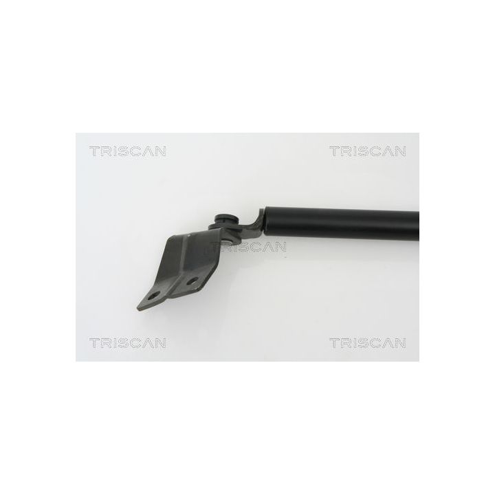 Dujinė spyruoklė, bagažinė TRISCAN 8710 69214