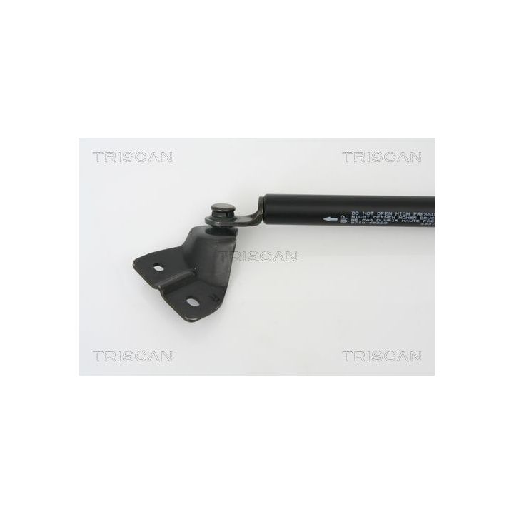 Dujinė spyruoklė, bagažinė TRISCAN 8710 69223