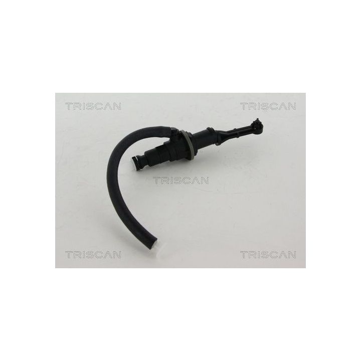 Pagrindinis cilindras, sankaba TRISCAN 8130 10208