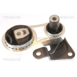 Variklio montavimas TRISCAN 8505 10102