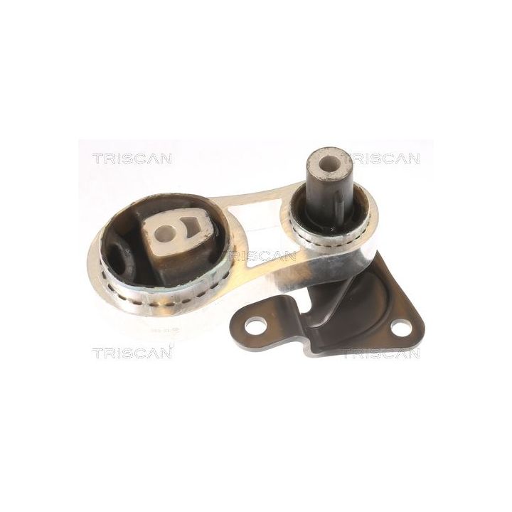 Variklio montavimas TRISCAN 8505 10102