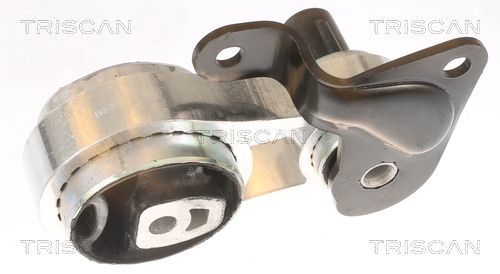 Variklio montavimas TRISCAN 8505 10102