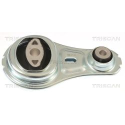 Variklio montavimas TRISCAN 8505 10103