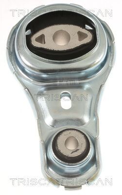 Variklio montavimas TRISCAN 8505 10103