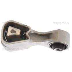 Variklio montavimas TRISCAN 8505 10107