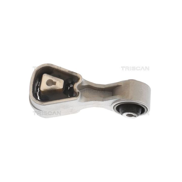 Variklio montavimas TRISCAN 8505 10107