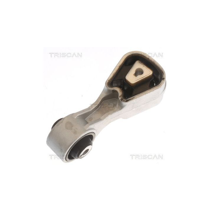 Variklio montavimas TRISCAN 8505 10107