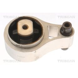 Variklio montavimas TRISCAN 8505 10109