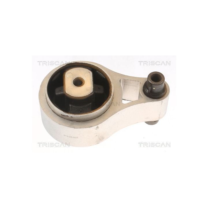 Variklio montavimas TRISCAN 8505 10109