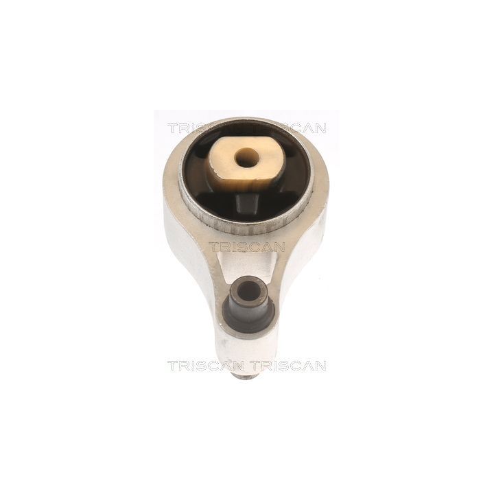 Variklio montavimas TRISCAN 8505 10109